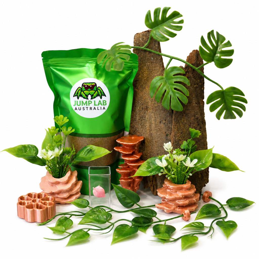 Ultimate Decor Bundle
