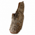 Large Bark Piece
