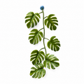 Large Monstera Magnetic Stem