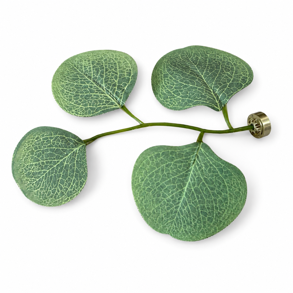 Eucalyptus Magnetic Stem - assorted colours