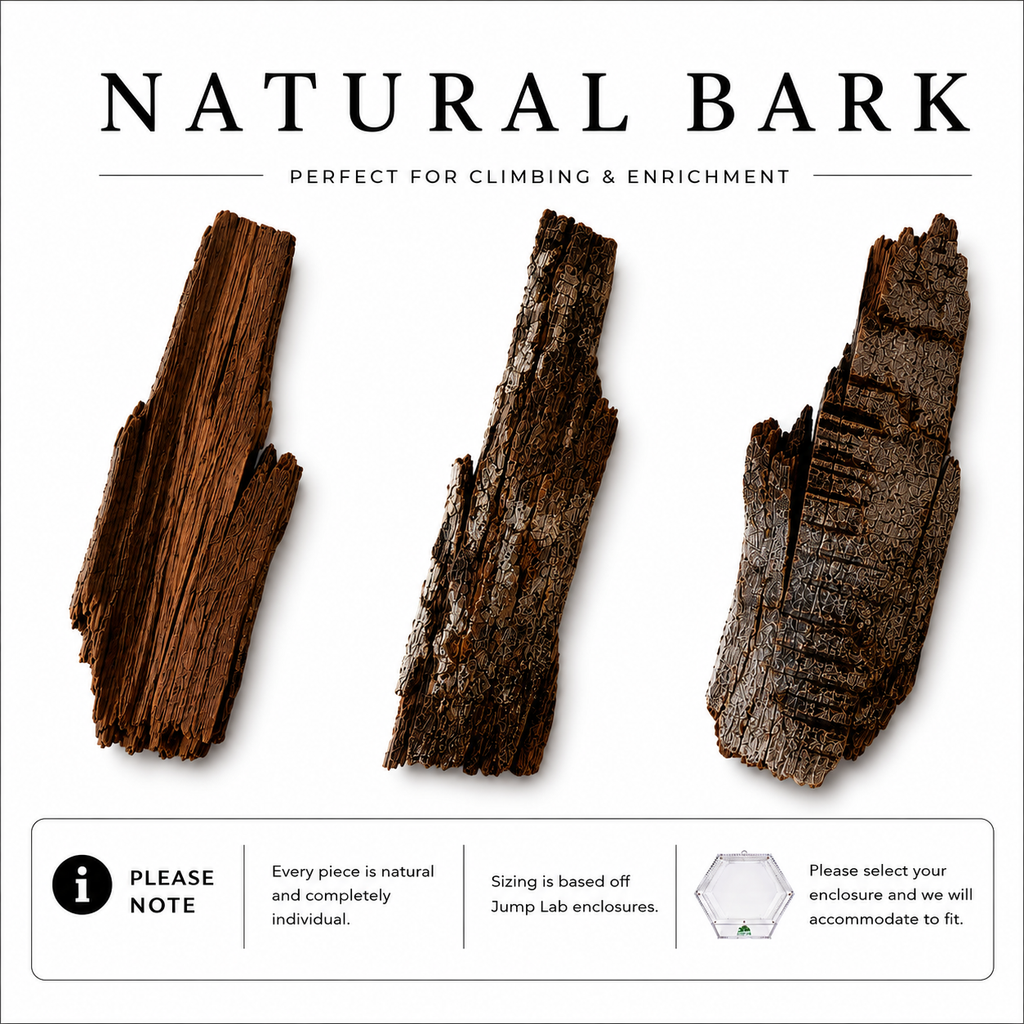 Large Bark Piece