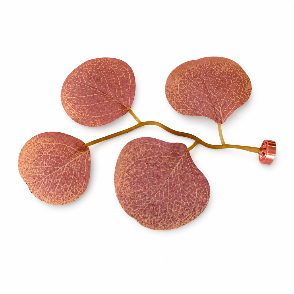 Eucalyptus Magnetic Stem - assorted colours