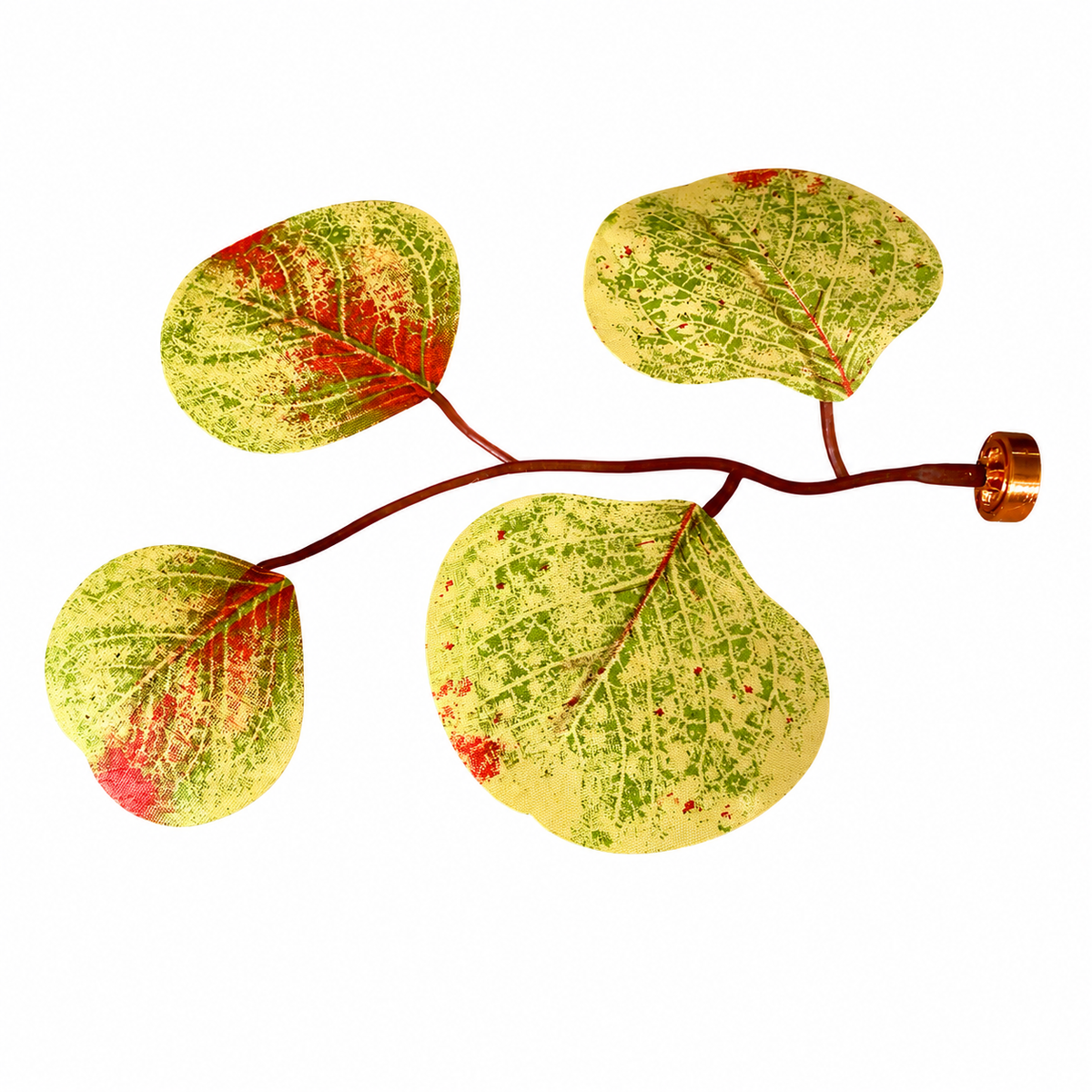 Eucalyptus Magnetic Stem - assorted colours