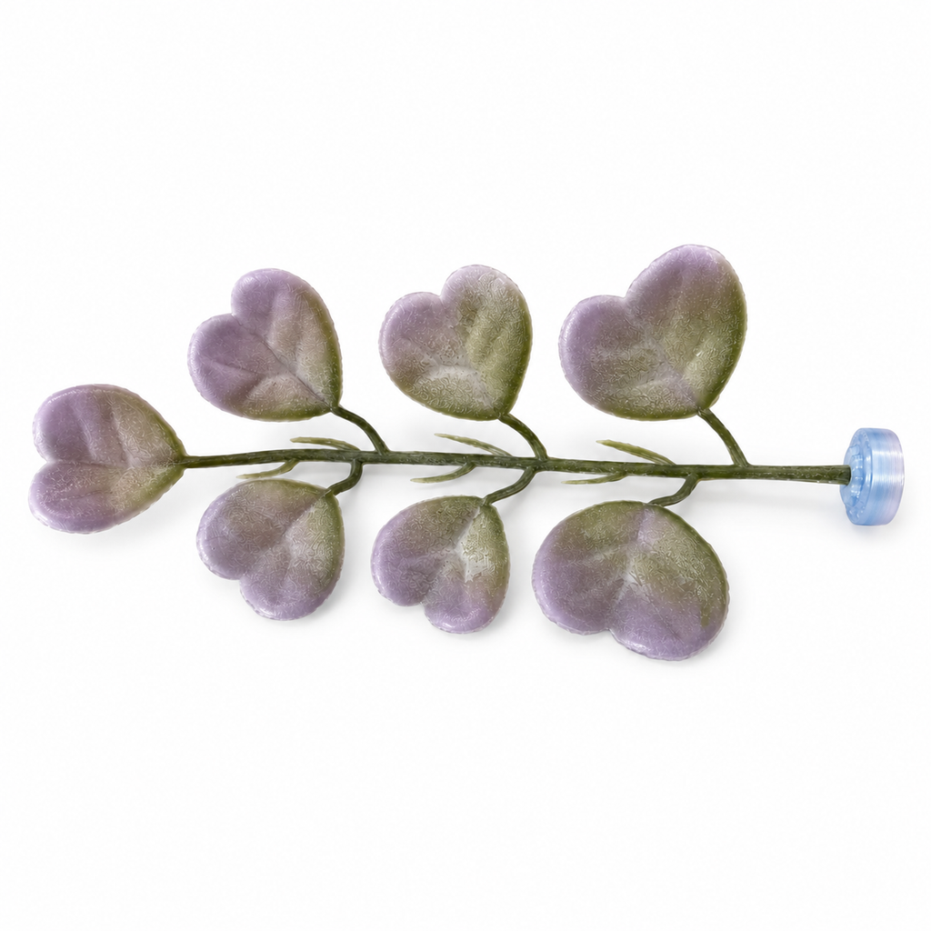 Hoya Kerrii Magnetic Stem
