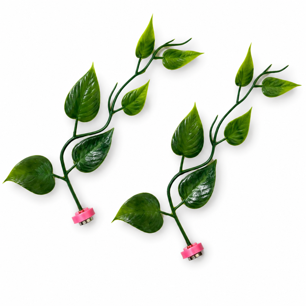 Pothos Magnetic Stem