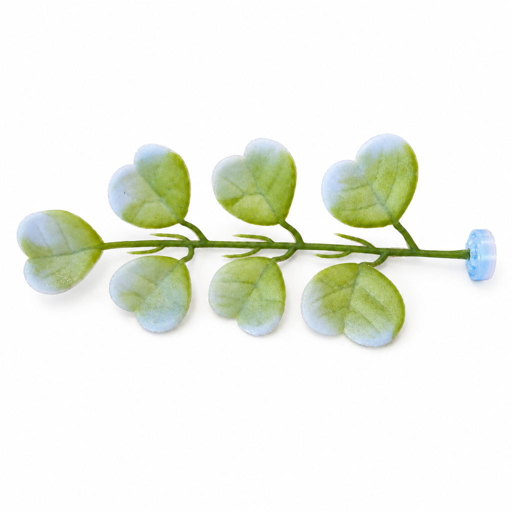 Hoya Kerrii Magnetic Stem