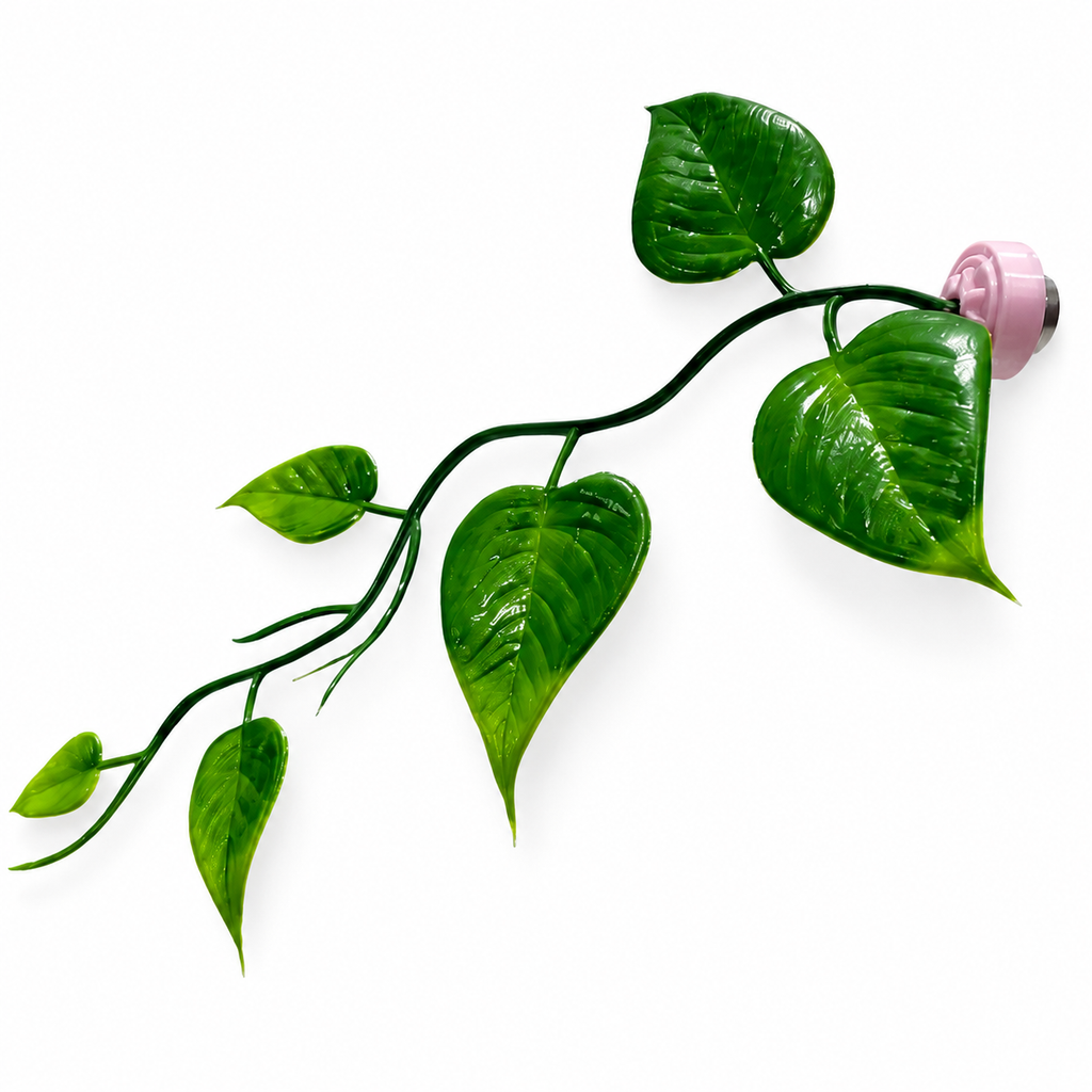 Pothos Magnetic Stem