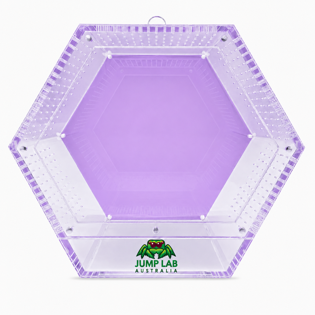 The HIVE Magnetic Backing Panel
