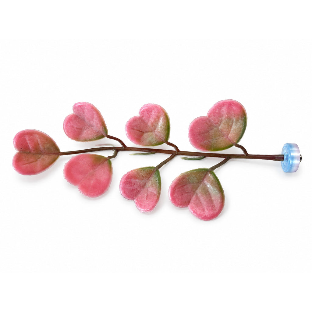 Hoya Kerrii Magnetic Stem